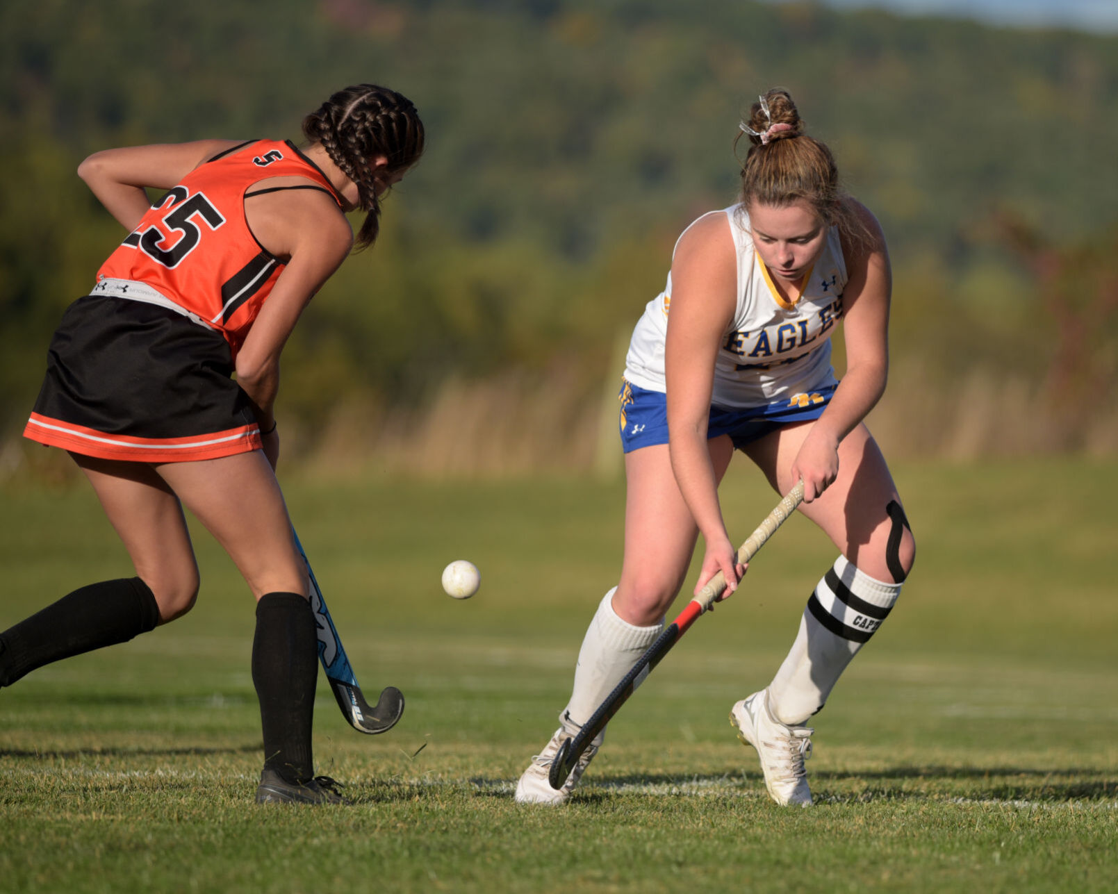 Line Mountain field hockey